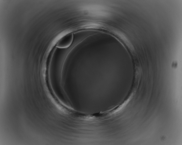 X0000101391418200807141122