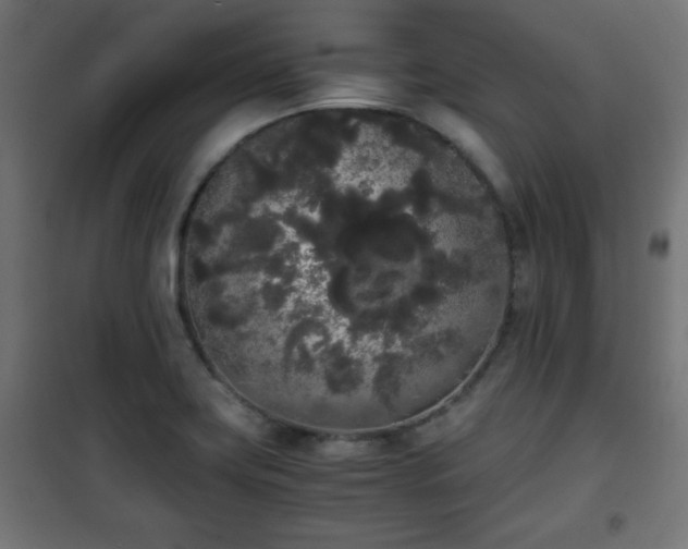 X0000101391419200807141122