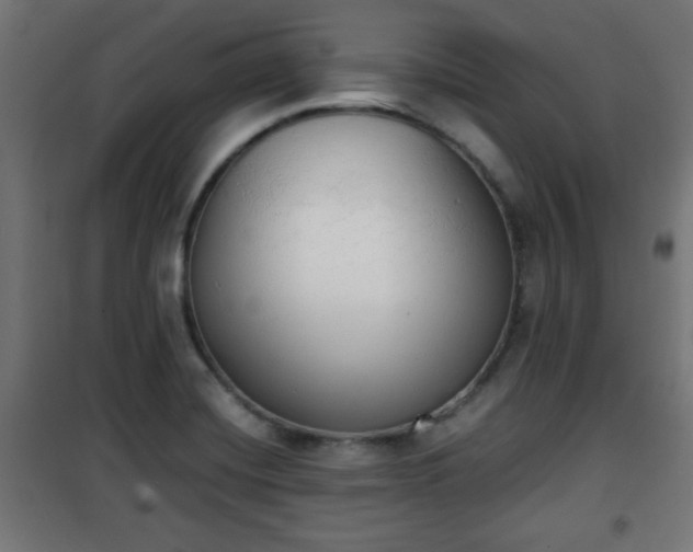 X0000101391420200807141122