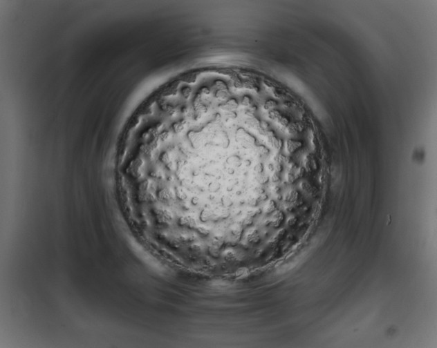 X0000101391421200807141122