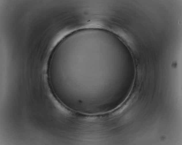 X0000101391422200807141122