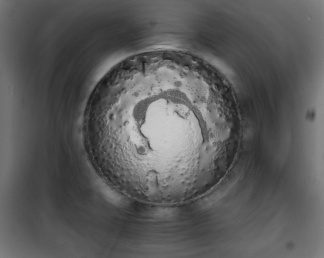 X0000101391423200807141122