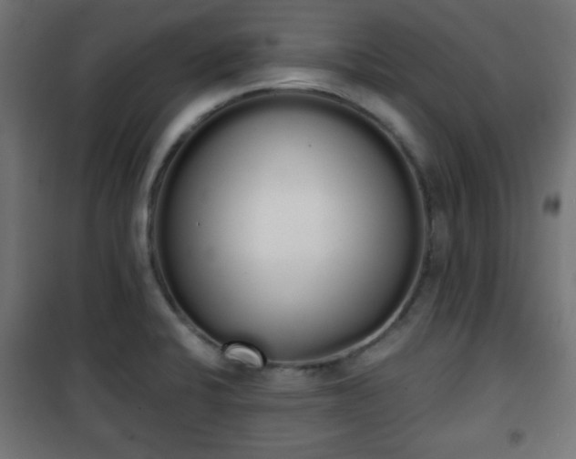 X0000101391424200807141122