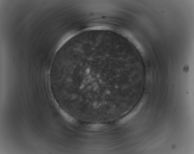 X0000101391425200807141122