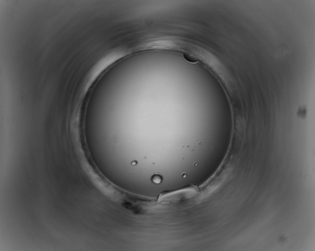 X0000101391426200807141122