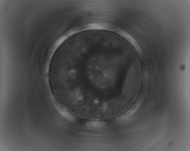 X0000101391427200807141122