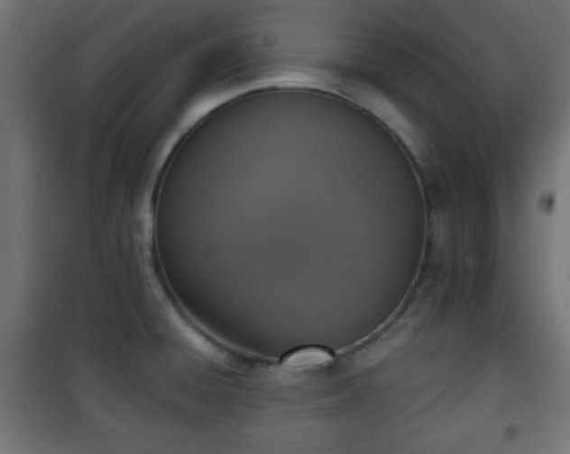 X0000101391428200807141122