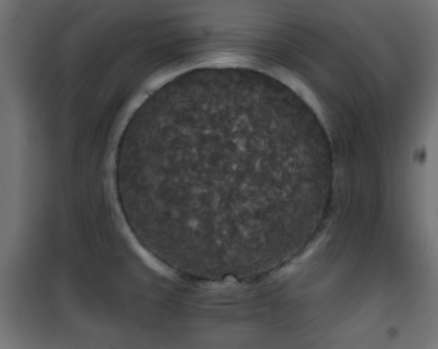 X0000101391429200807141122