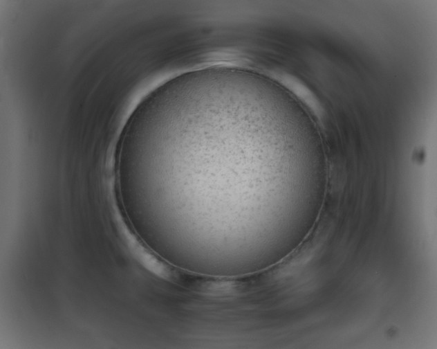 X0000101391431200807141122