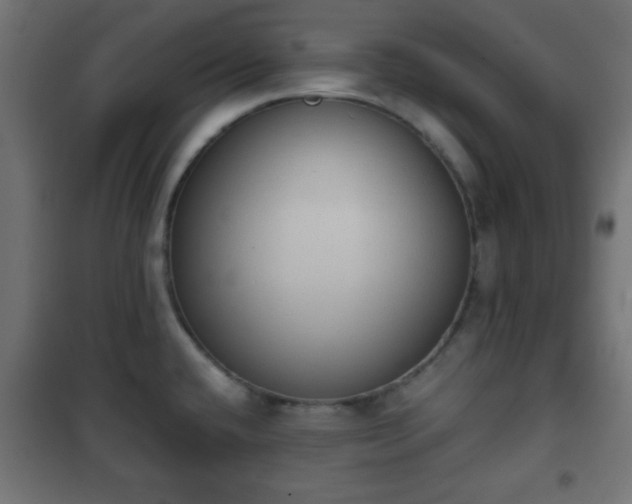 X0000101391432200807141122