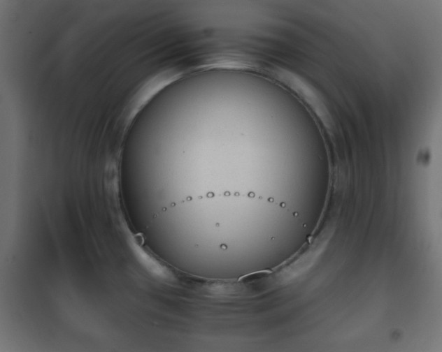 X0000101391433200807141122