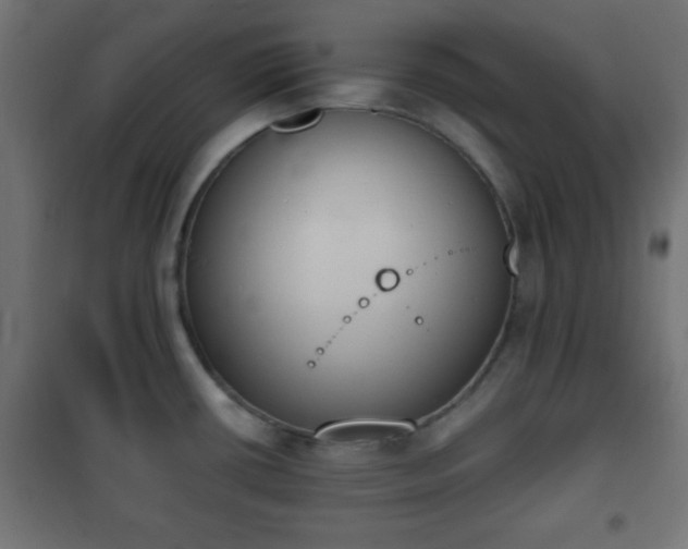 X0000101391434200807141122