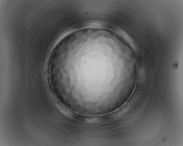 X0000101391435200807141122