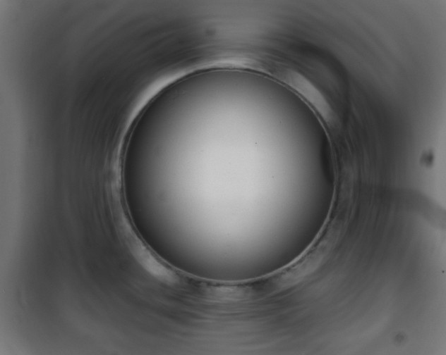 X0000101391436200807141122