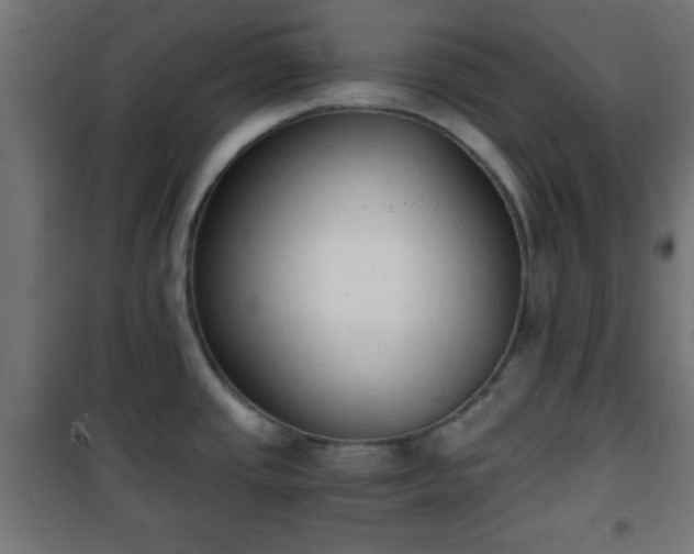 X0000101391437200807141122