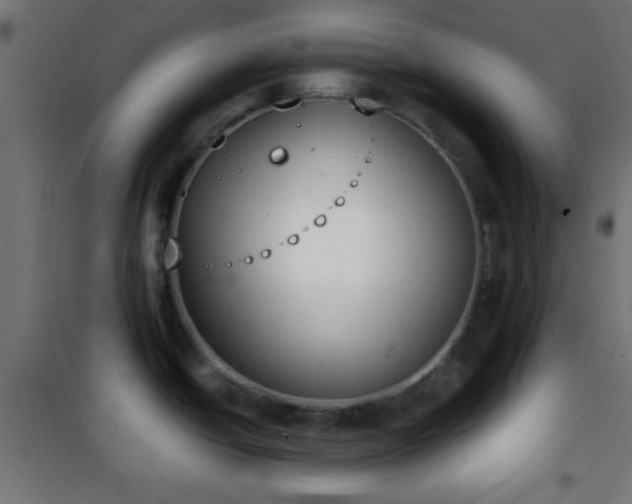 X0000101391438200807141122