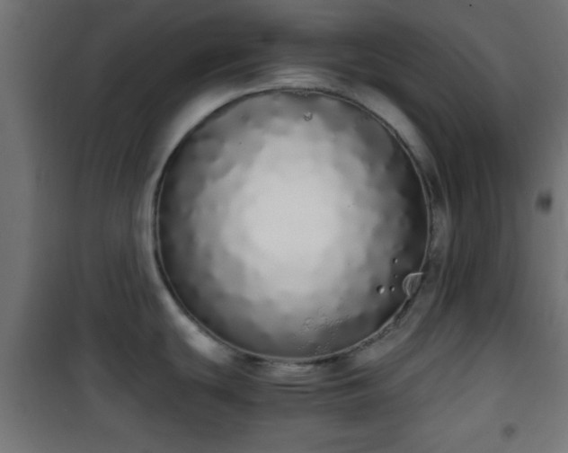 X0000101391439200807141122