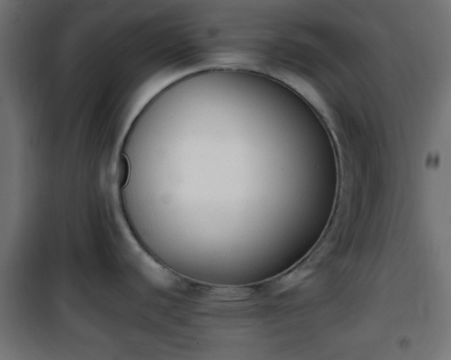 X0000101391440200807141122