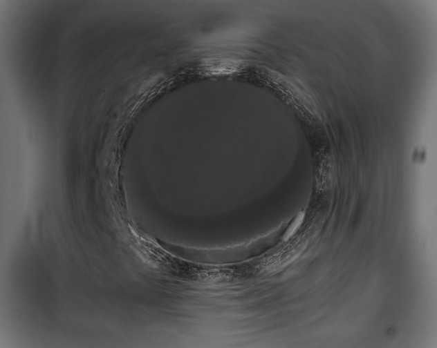 X0000101391441200807141122