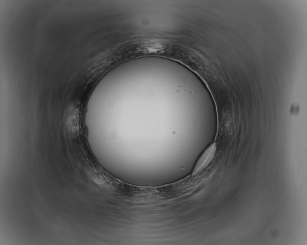 X0000101391442200807141122