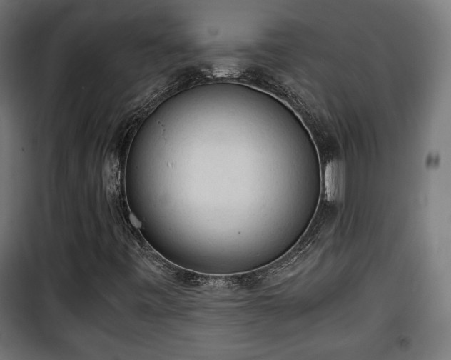 X0000101391443200807141122