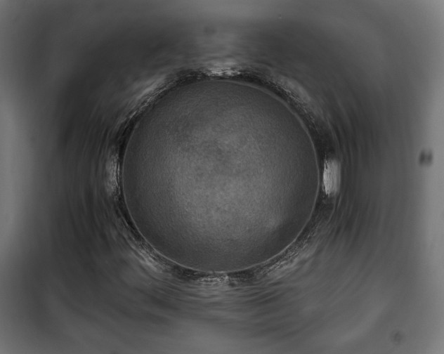 X0000101391444200807141122