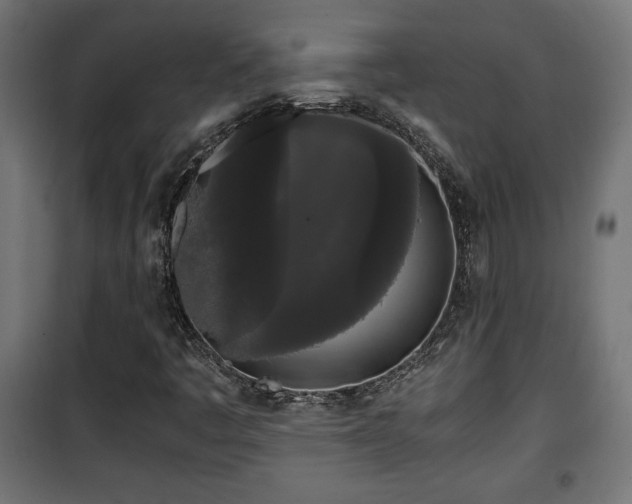 X0000101391445200807141122