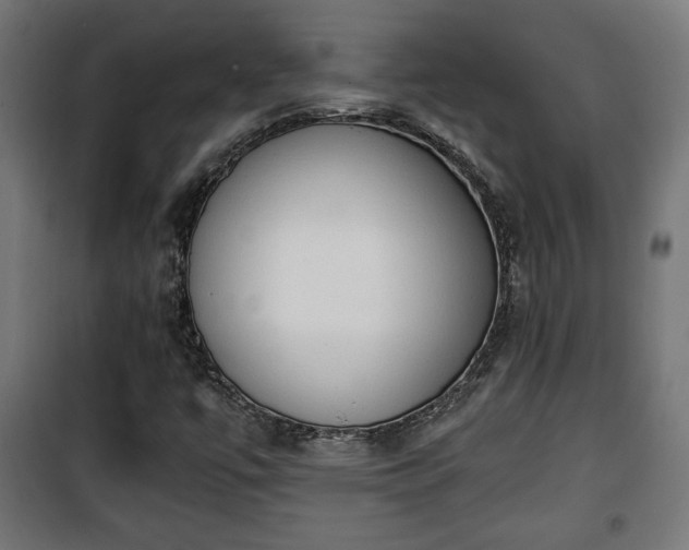 X0000101391447200807141121