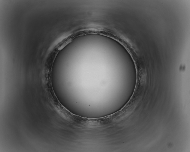 X0000101391448200807141121