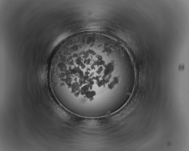 X0000101391450200807141121
