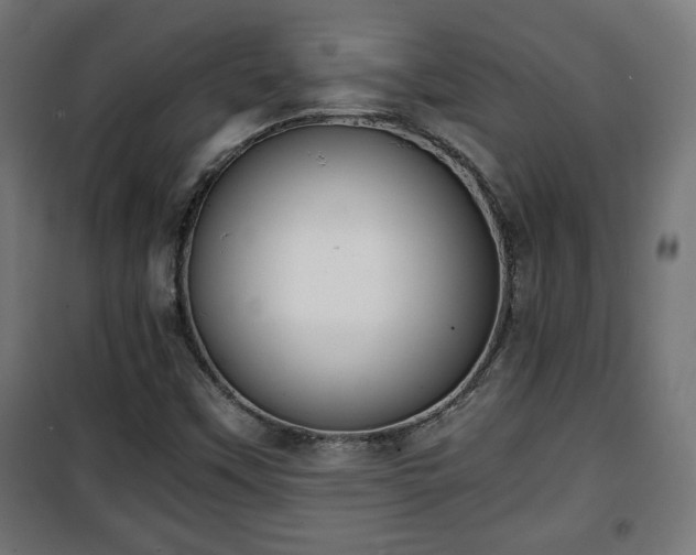 X0000101391451200807141121