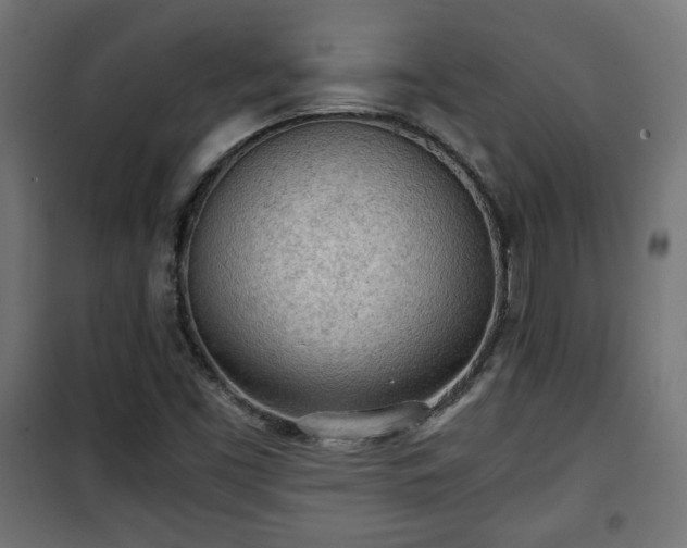 X0000101391453200807141121