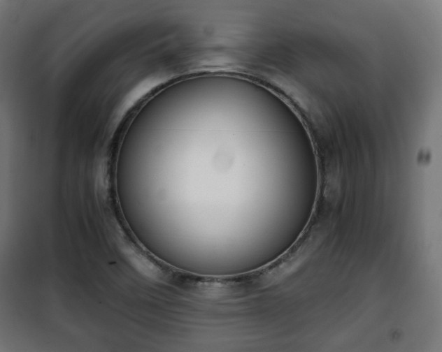 X0000101391458200807141121