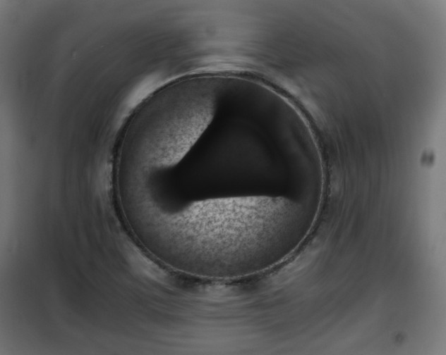 X0000101391459200807141121