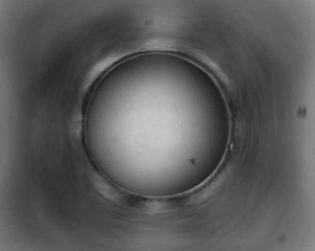 X0000101391461200807141121