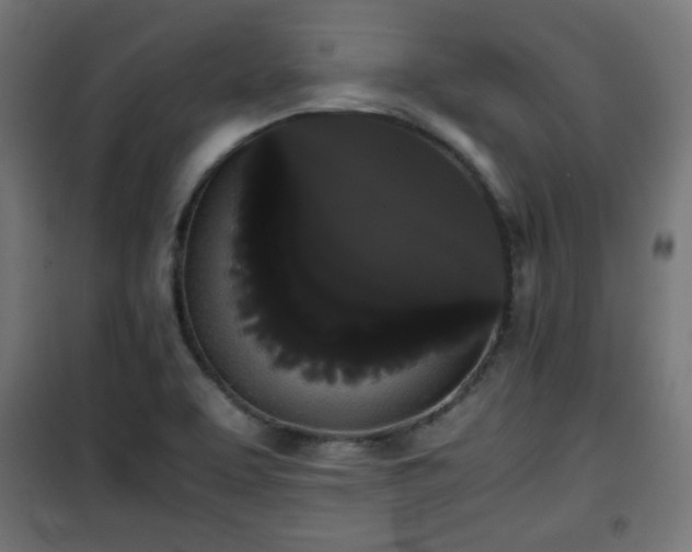 X0000101391463200807141121