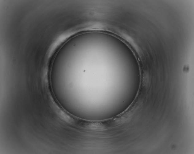 X0000101391464200807141121