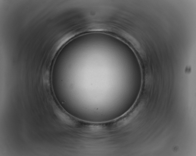 X0000101391465200807141121