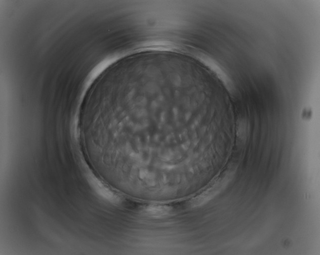 X0000101391466200807141121