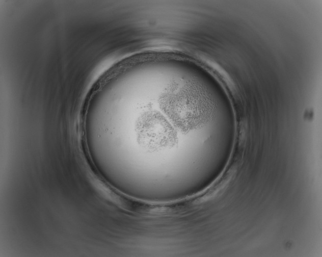 X0000101391467200807141121