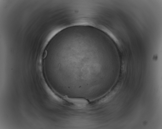 X0000101391468200807141121