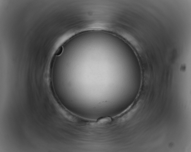 X0000101391469200807141121