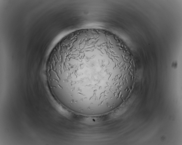 X0000101391470200807141121