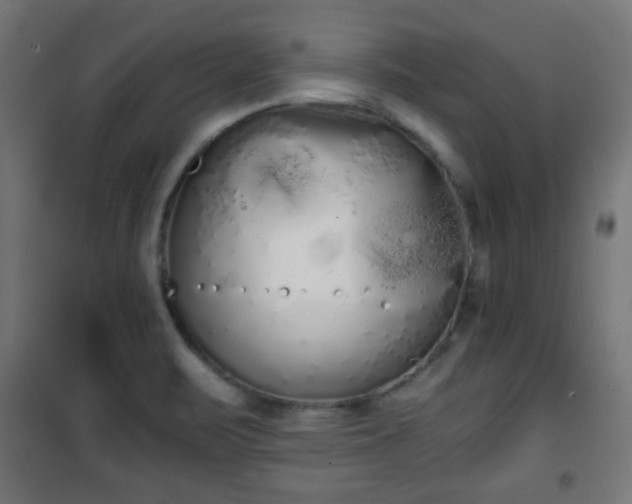 X0000101391471200807141121