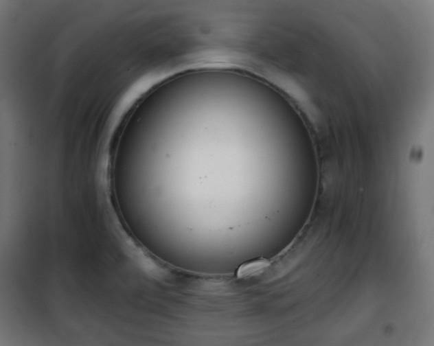 X0000101391472200807141121