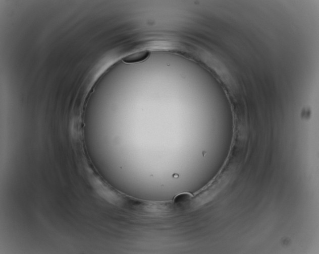 X0000101391473200807141121