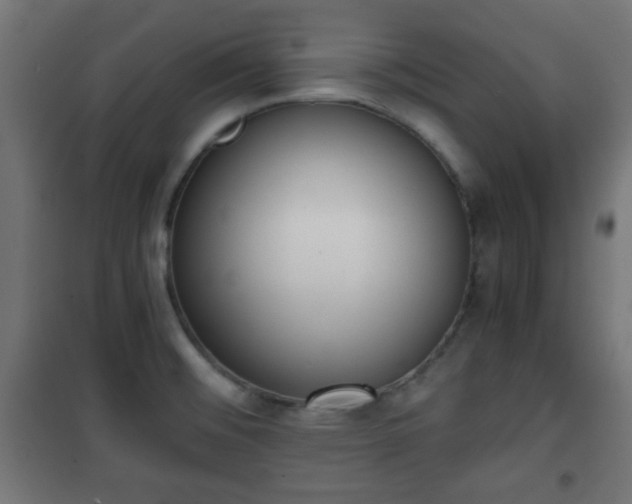 X0000101391476200807141121