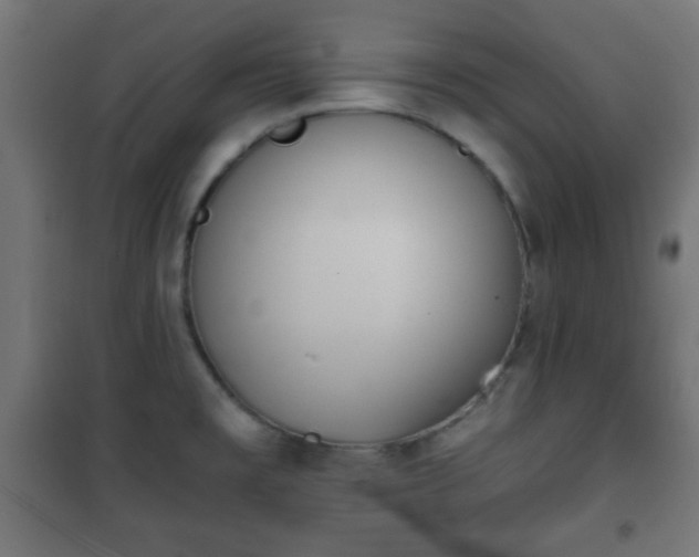 X0000101391477200807141121