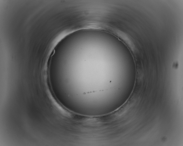 X0000101391479200807141121