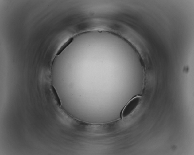 X0000101391481200807141121